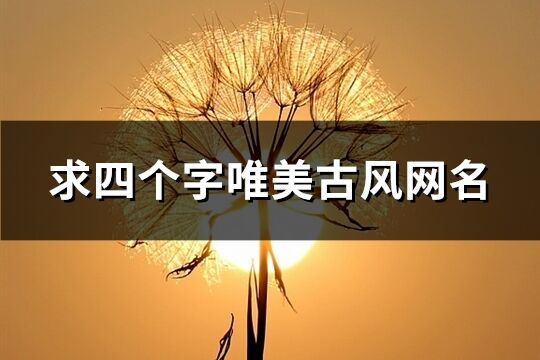 求四個(gè)字唯美古風(fēng)網(wǎng)名(80個(gè))