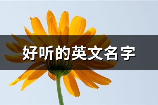 好聽的英文名字(共78個(gè))