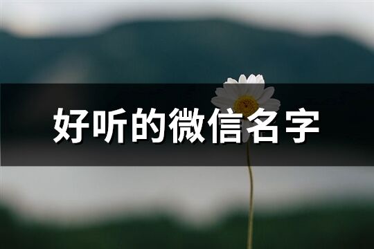 好聽的微信名字(1208個(gè))