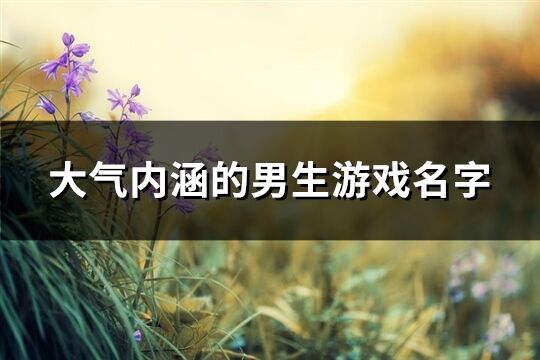 大氣內涵的男生游戲名字(優選1004個)