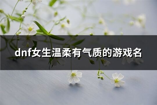 dnf女生溫柔有氣質的游戲名(精選128個)