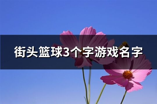 街頭籃球3個(gè)字游戲名字(共254個(gè))