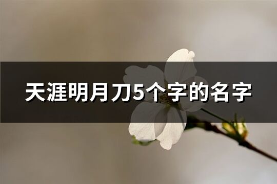 天涯明月刀5個字的名字(精選462個)