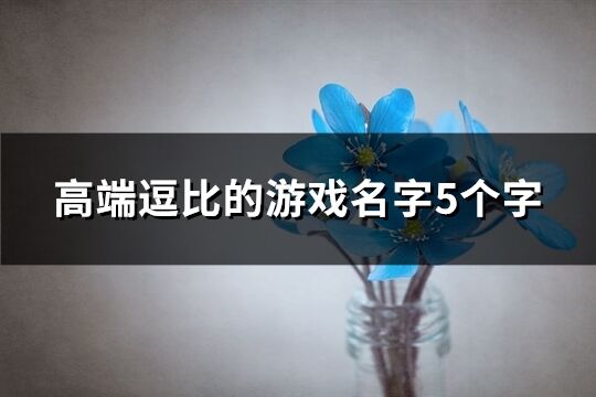 高端逗比的游戲名字5個(gè)字(精選282個(gè))