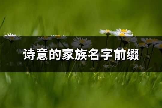 詩意的家族名字前綴(共173個)