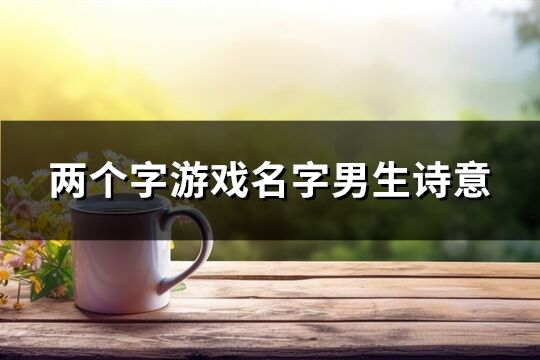 兩個(gè)字游戲名字男生詩(shī)意(262個(gè))