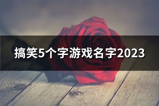 搞笑5個(gè)字游戲名字2023(優(yōu)選68個(gè))