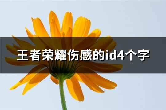 王者榮耀傷感的id4個字(552個)