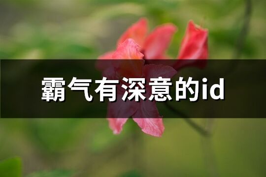 霸氣有深意的id(精選64個)