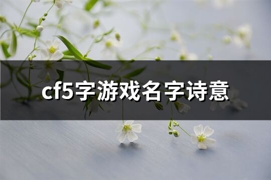 cf5字游戲名字詩意(精選748個)