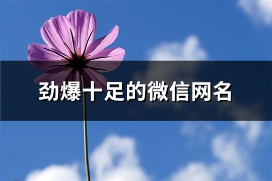勁爆十足的微信網名(共892個)