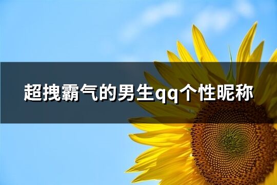 超拽霸氣的男生qq個性昵稱(共209個)