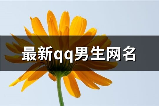 最新qq男生網名(優選584個)