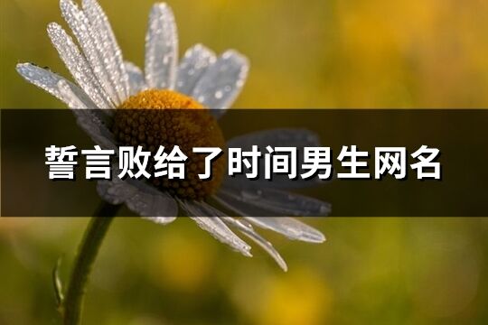 誓言敗給了時間男生網名(精選705個)