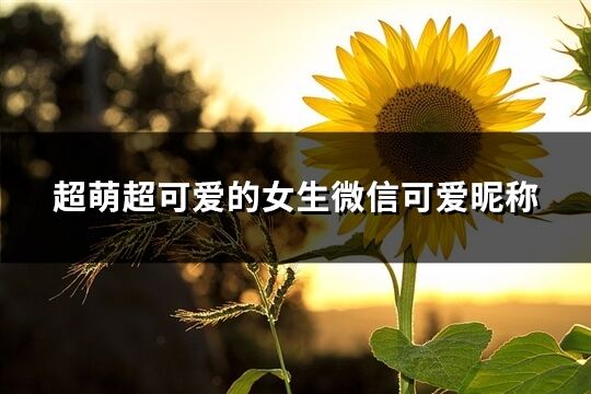 超萌超可愛的女生微信可愛昵稱(154個)