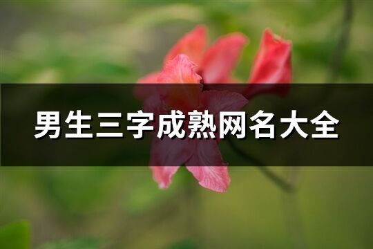 男生三字成熟網(wǎng)名大全(優(yōu)選823個)