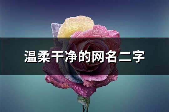 溫柔干凈的網(wǎng)名二字(優(yōu)選1113個(gè))