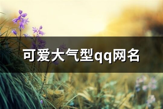 可愛大氣型qq網(wǎng)名(優(yōu)選222個(gè))