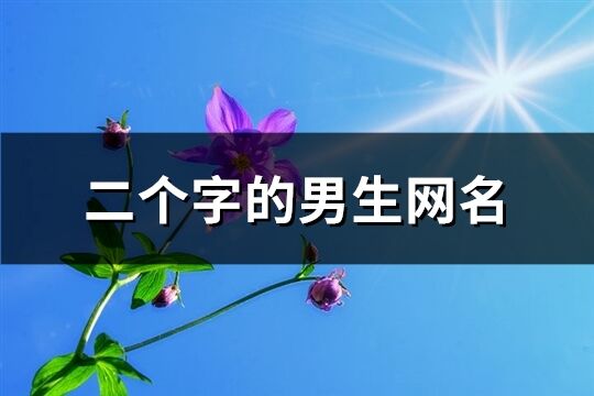 二個字的男生網名(共1540個)