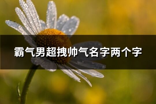 霸氣男超拽帥氣名字兩個(gè)字(精選630個(gè))