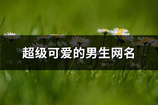超級可愛的男生網名(精選313個)