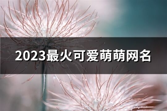 2023最火可愛萌萌網名(1054個)