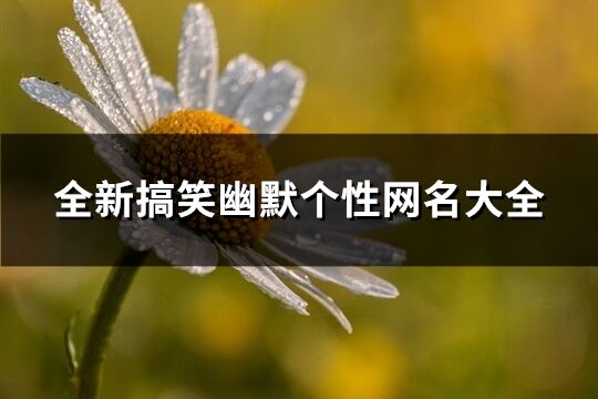 全新搞笑幽默個(gè)性網(wǎng)名大全(共577個(gè))