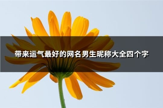 帶來運氣最好的網名男生昵稱大全四個字(優(yōu)選583個)
