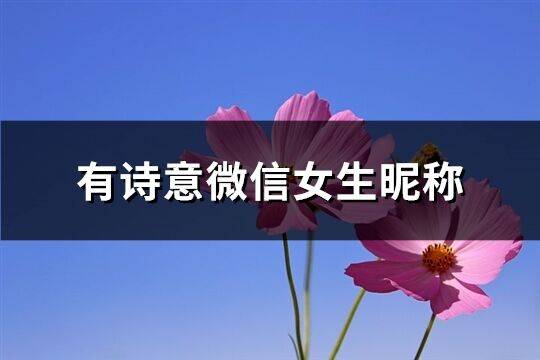 有詩(shī)意微信女生昵稱(共599個(gè))