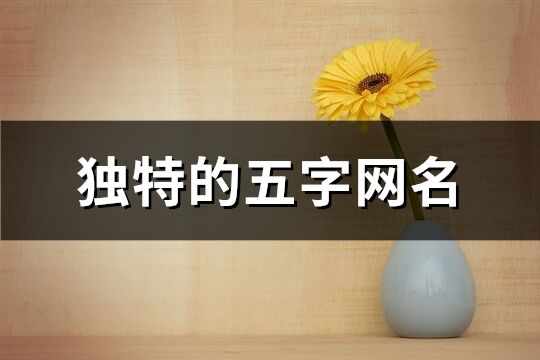 獨特的五字網名(1353個)