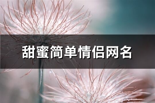 甜蜜簡單情侶網(wǎng)名(共322個(gè))