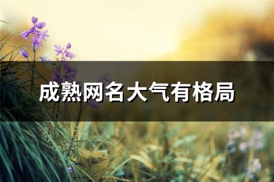 成熟網名大氣有格局(604個)
