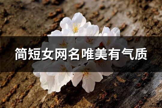 簡短女網(wǎng)名唯美有氣質(zhì)(優(yōu)選254個(gè))