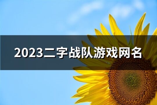 2023二字戰(zhàn)隊(duì)游戲網(wǎng)名(419個(gè))