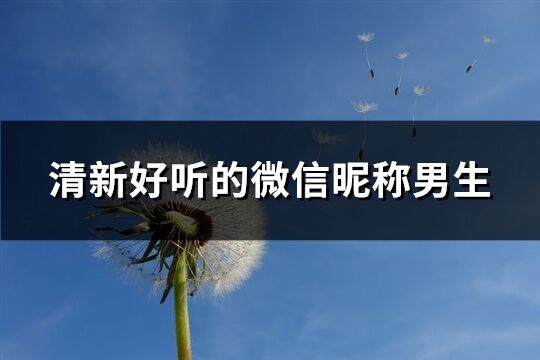 清新好聽的微信昵稱男生(共60個)