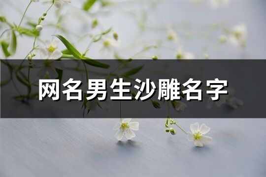 網名男生沙雕名字(優選540個)