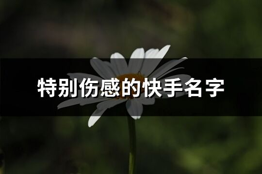 特別傷感的快手名字(共319個)