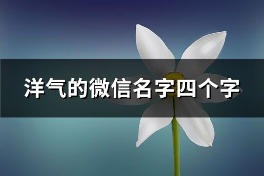 洋氣的微信名字四個字(共1533個)