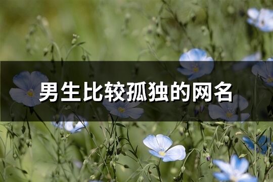 男生比較孤獨的網名(優選128個)