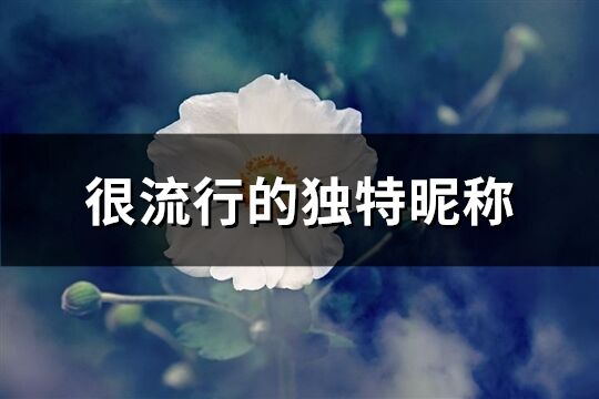 很流行的獨特昵稱(706個)