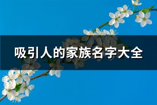 吸引人的家族名字大全(477個(gè))