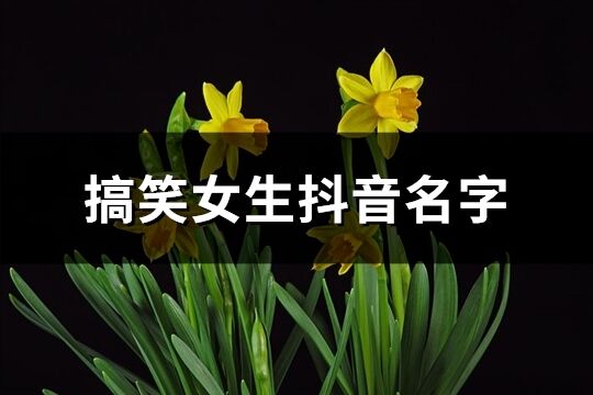 搞笑女生抖音名字(共519個)