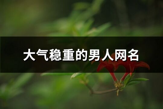 大氣穩重的男人網名(共603個)