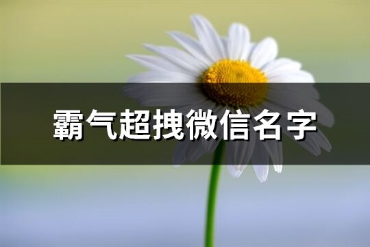 霸氣超拽微信名字(726個)