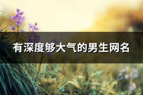 有深度夠大氣的男生網名(共1450個)
