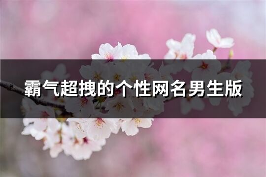 霸氣超拽的個性網名男生版(共352個)
