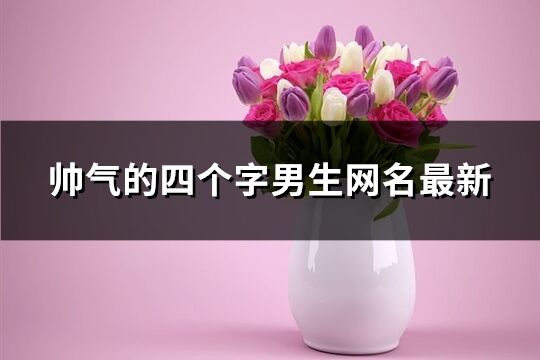 帥氣的四個字男生網(wǎng)名最新(313個)