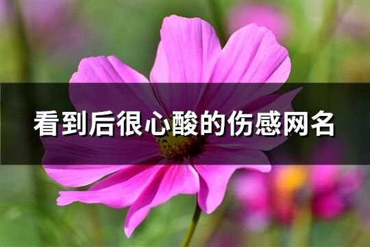 看到后很心酸的傷感網名(精選805個)