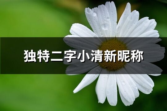 獨特二字小清新昵稱(優選1251個)