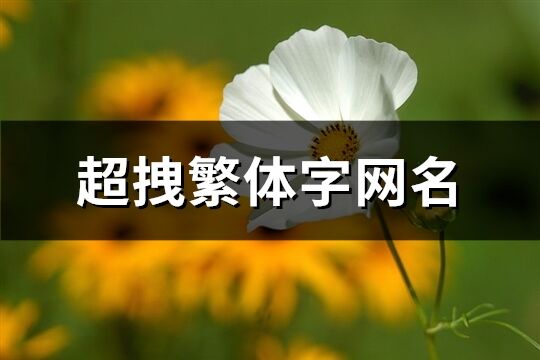 超拽繁體字網名(395個)